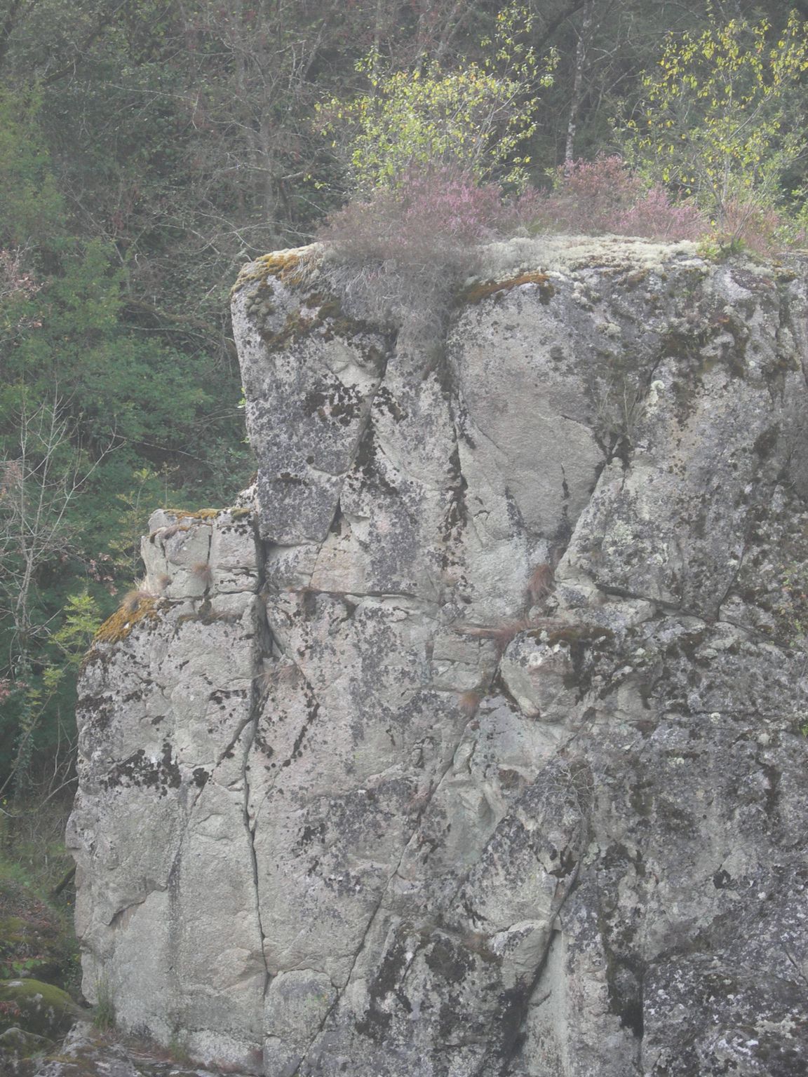 DSCN9047.JPG