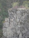 DSCN9047.JPG