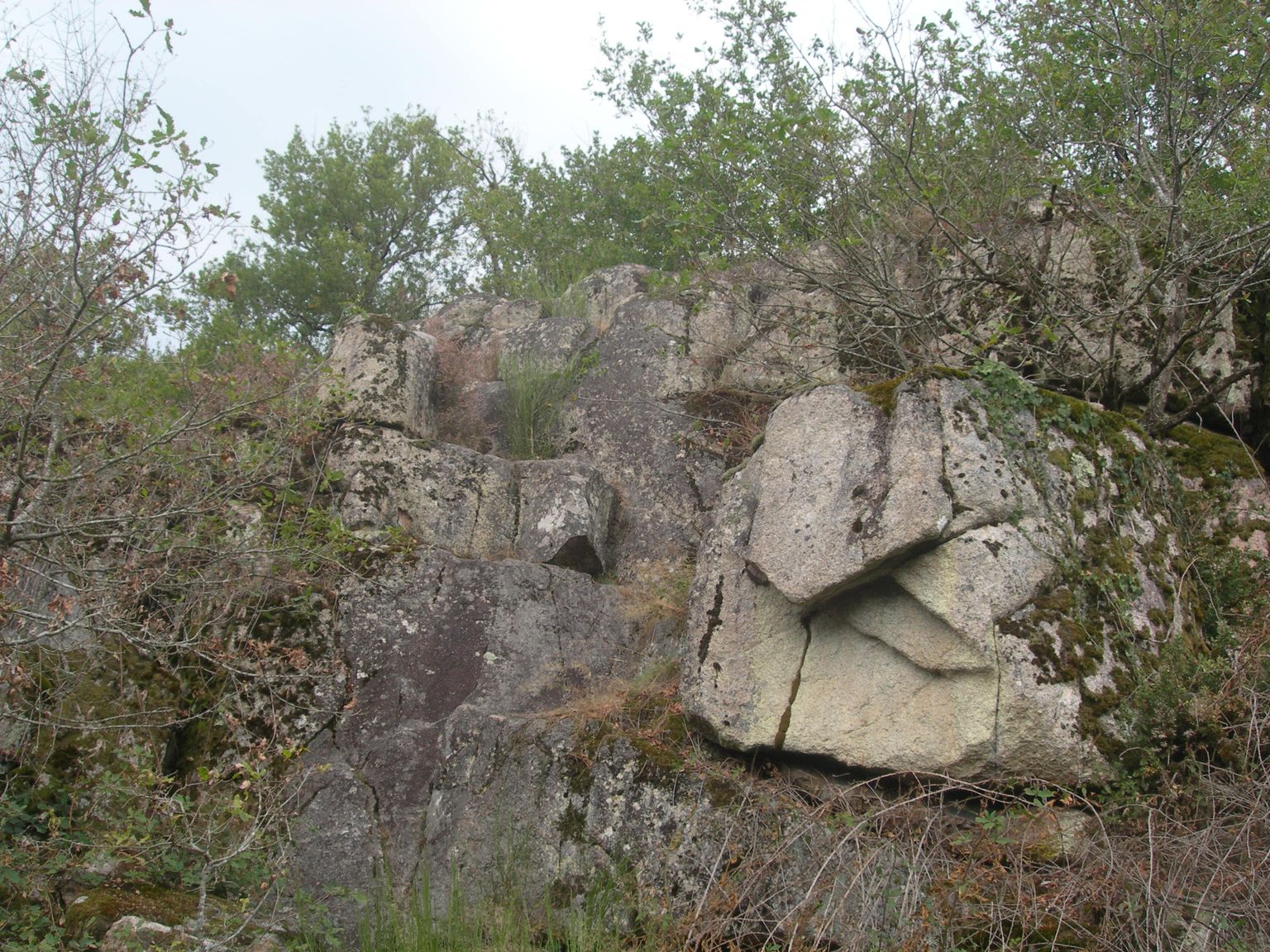 DSCN9078.JPG