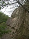 DSCN9092.JPG