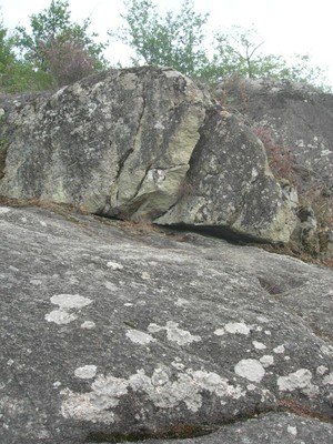DSCN9098.JPG