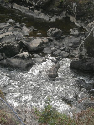 DSCN9115.JPG