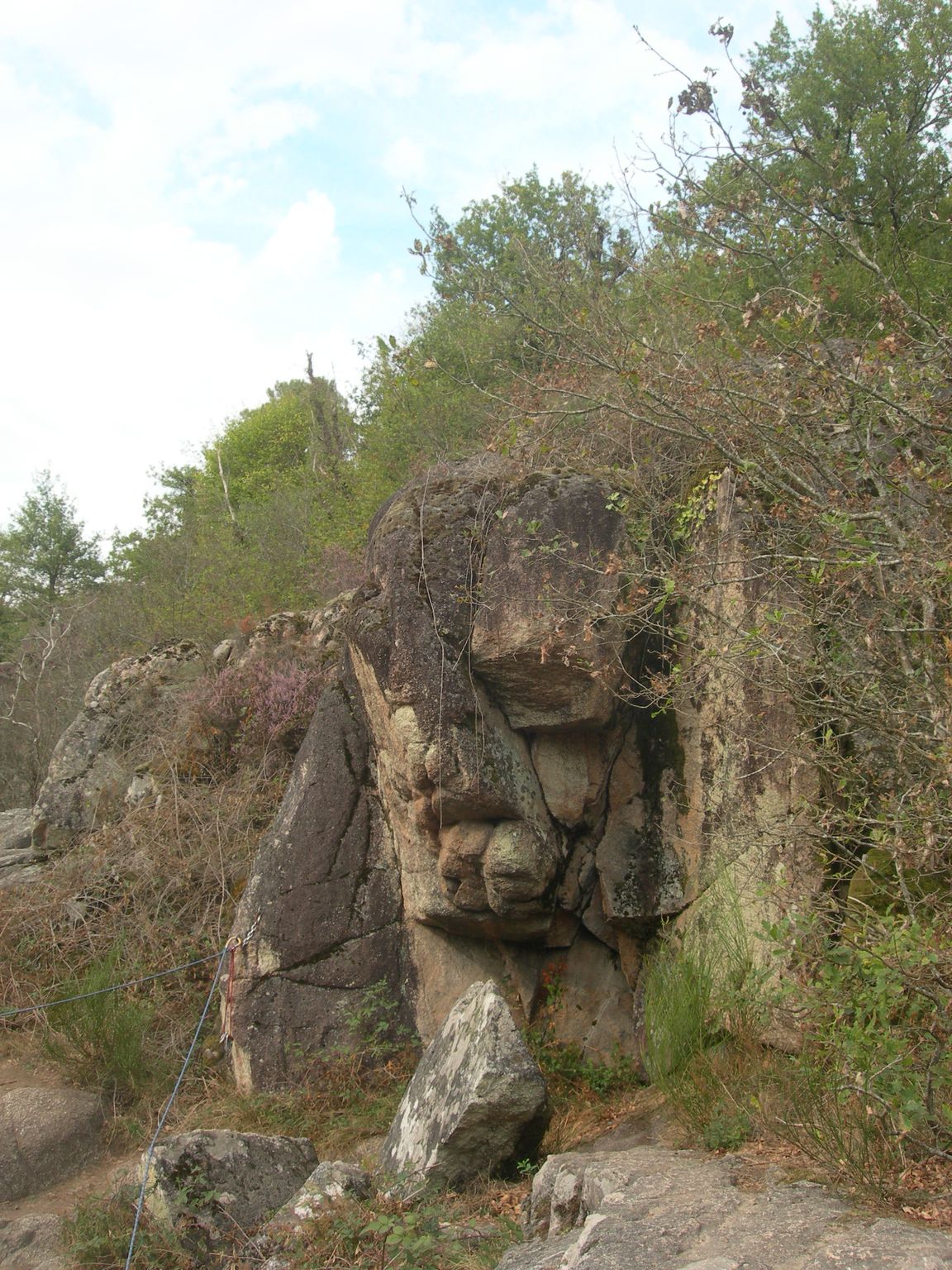 DSCN9118.JPG