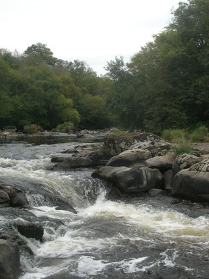 DSCN9149.JPG