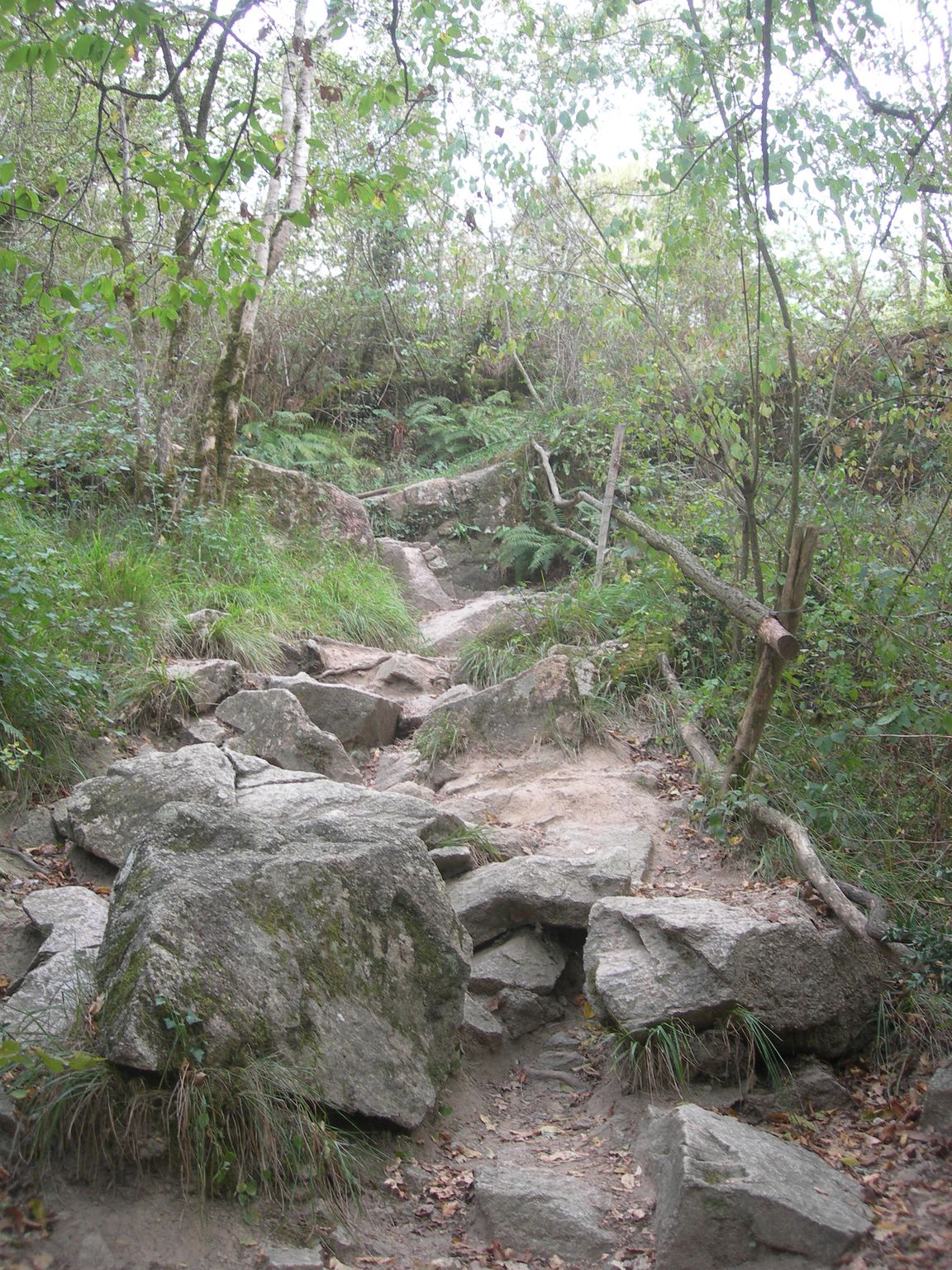 DSCN9178.JPG