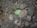 DSCN9213.JPG