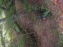 DSCN9216.JPG