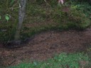 DSCN9217.JPG
