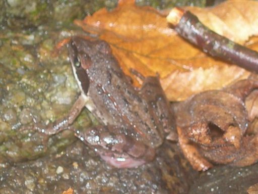 RSCN9224.JPG