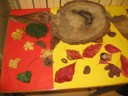 Objets naturls (1).JPG