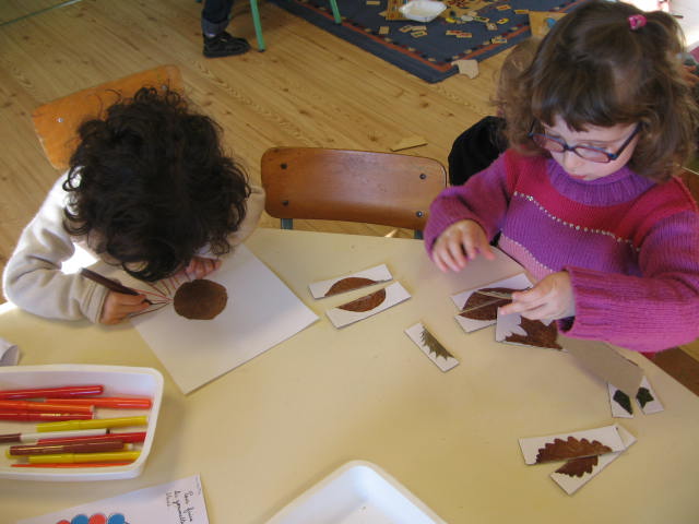 Puzzle Feuilles Symetrie (8).JPG