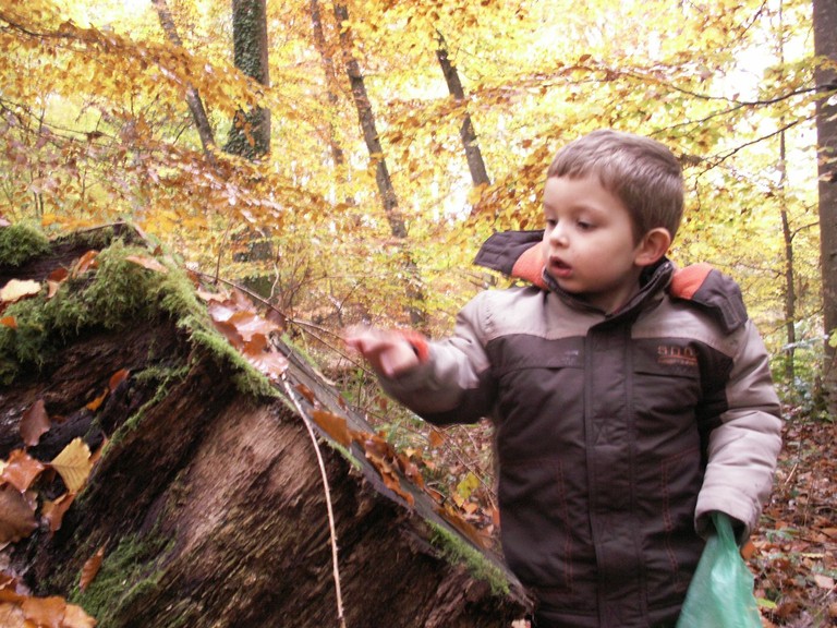 siege et site communicant 080.jpg