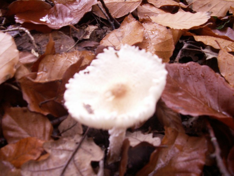 siege et site communicant 093.jpg