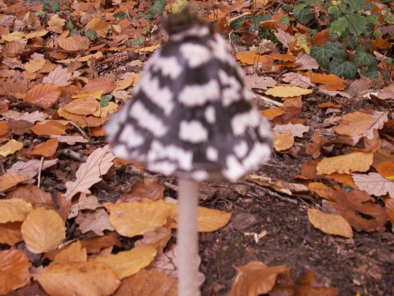 siege et site communicant 106.jpg