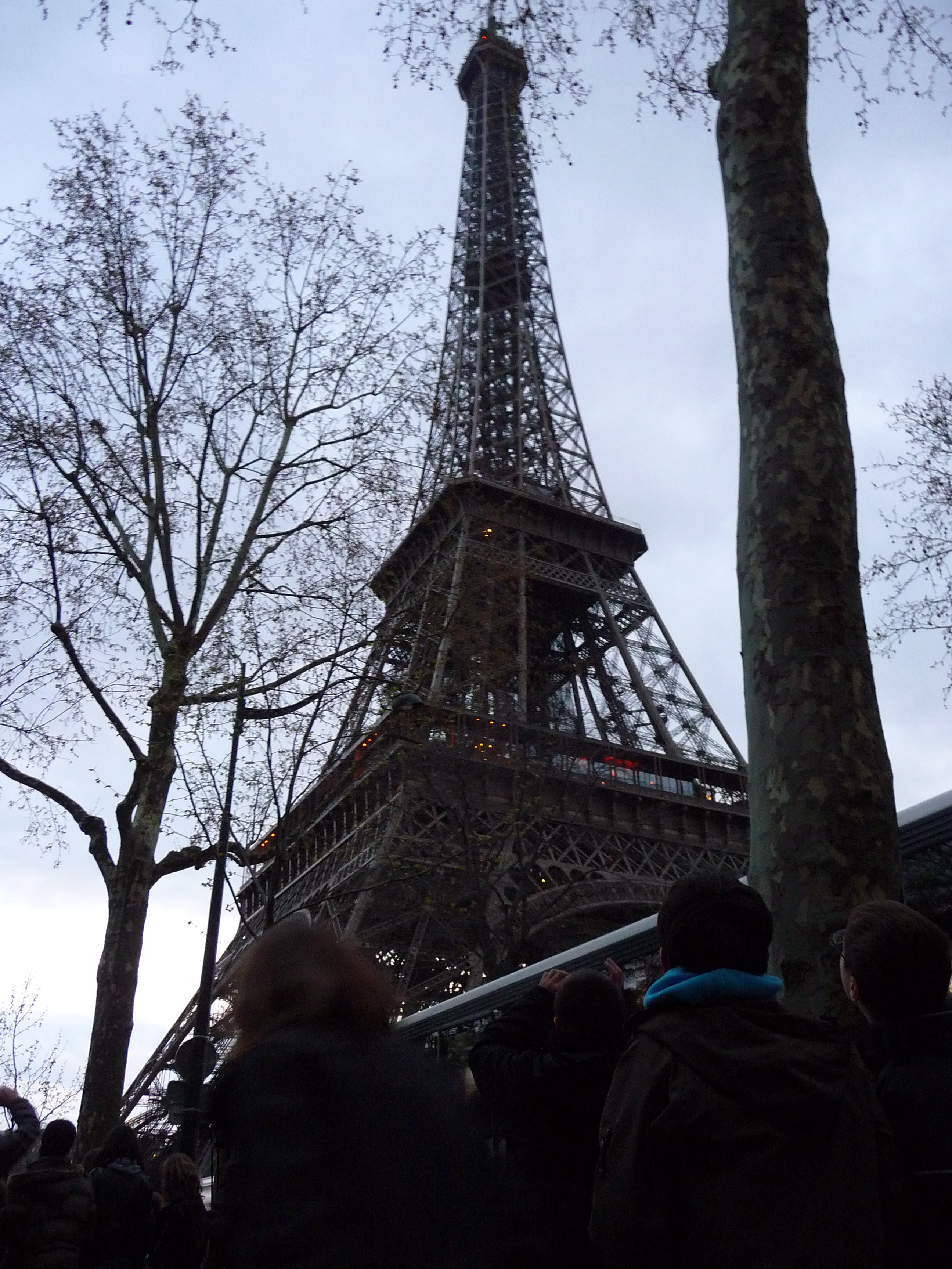 P1040531.JPG