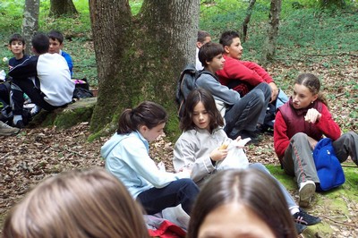100_4930.JPG