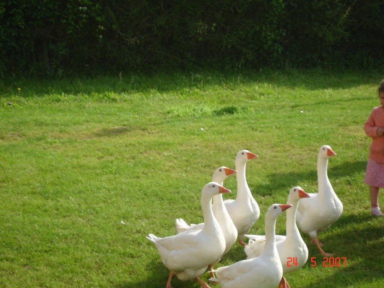 allemagne 2007 044.jpg