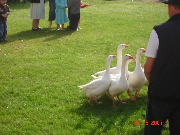 allemagne 2007 045.jpg