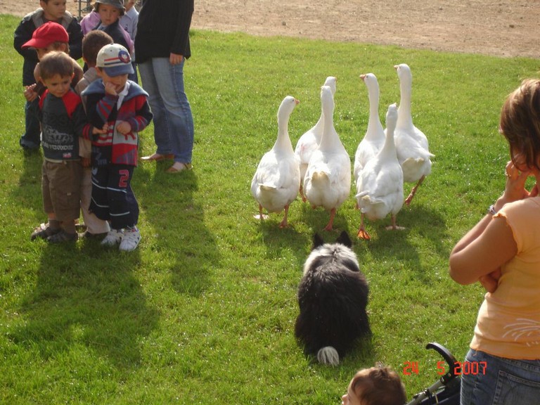 allemagne 2007 046.jpg