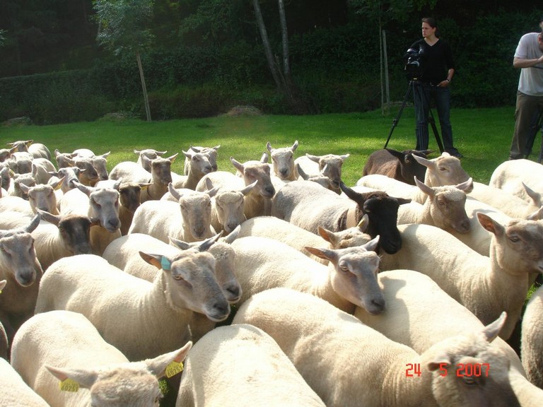 allemagne 2007 050.jpg