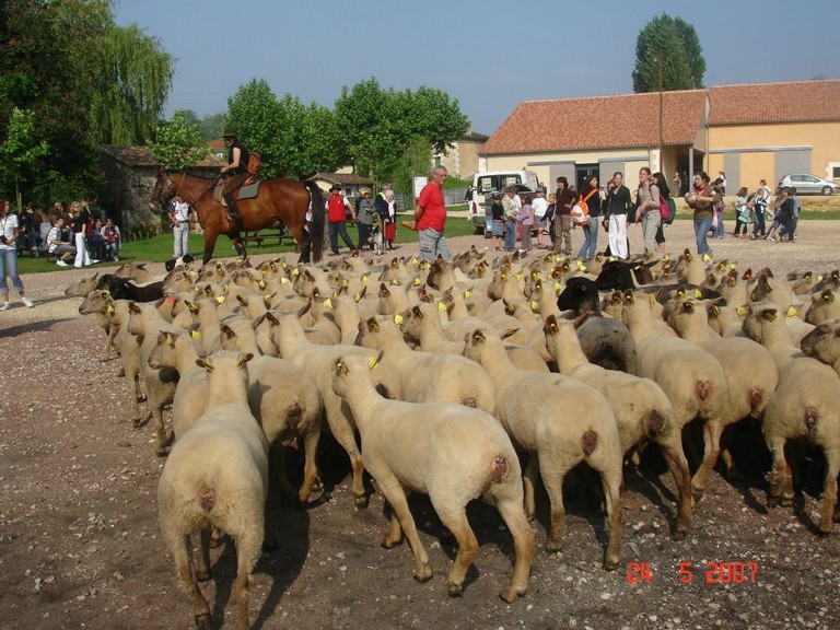 allemagne 2007 051.jpg