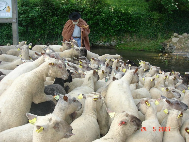 allemagne 2007 052.jpg