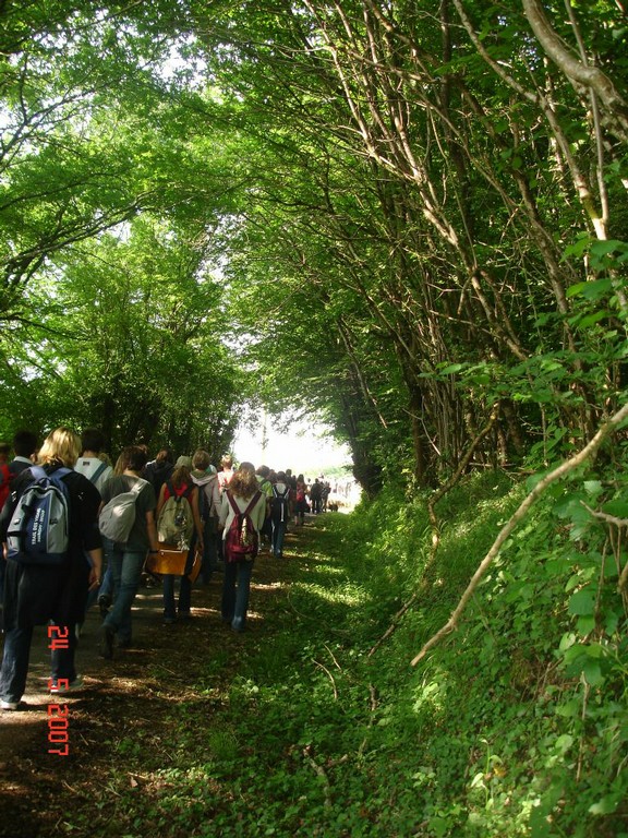 allemagne 2007 056.jpg