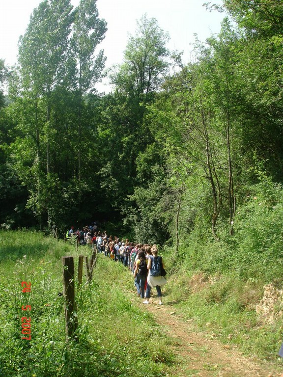 allemagne 2007 058.jpg