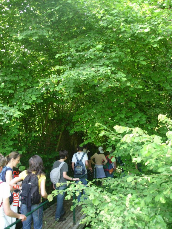 allemagne 2007 060.jpg