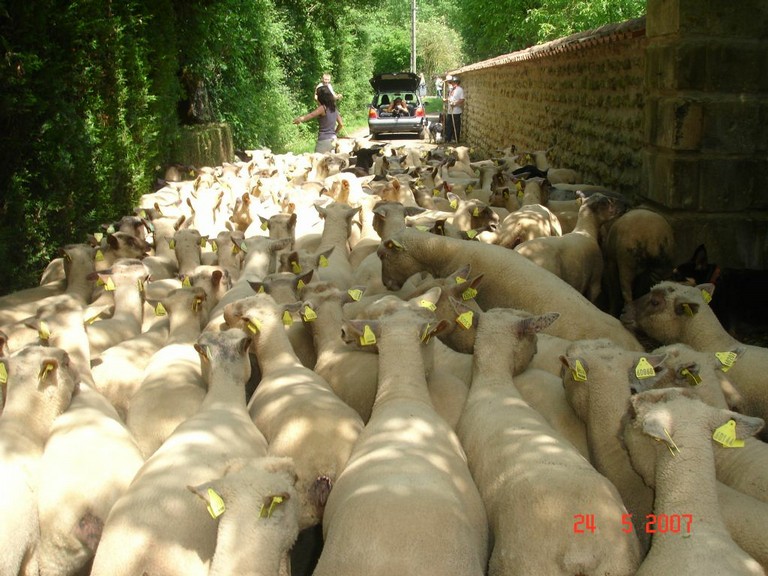 allemagne 2007 065.jpg