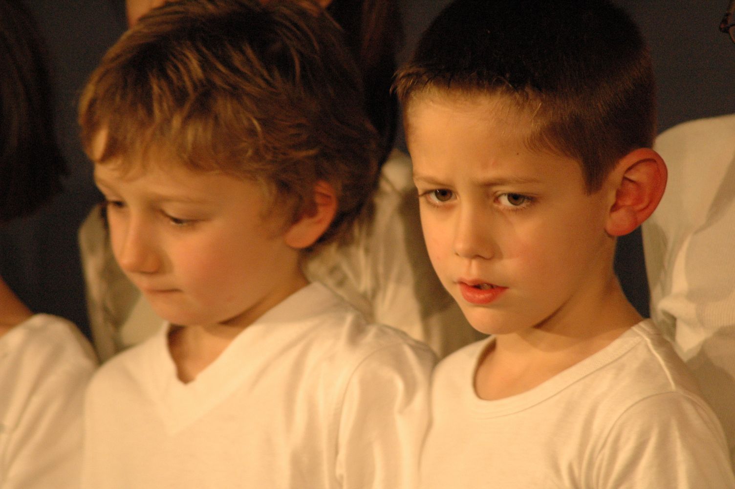 spectacle primaire0133.JPG