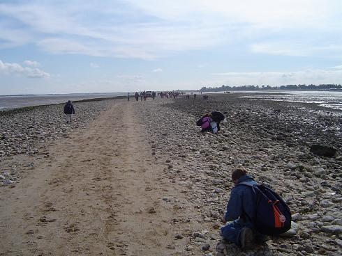 040 choisir son galet qui sera depose sur la Croix.JPG