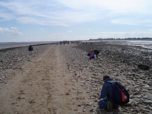 040 choisir son galet qui sera depose sur la Croix.JPG