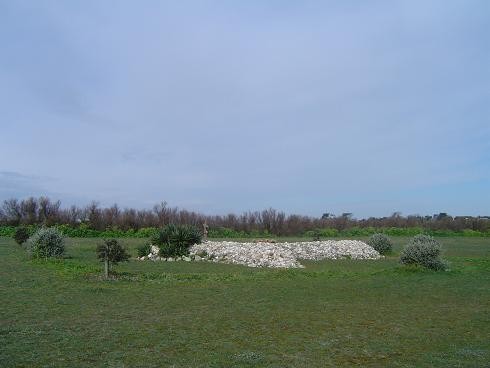 057 si discrete qu elle se fond dans le paysage.JPG