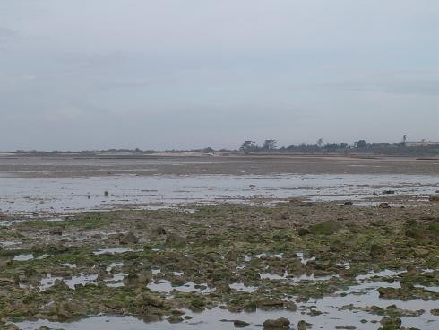 058 retour vers le continent.JPG