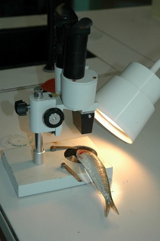 livrentete (113).JPG