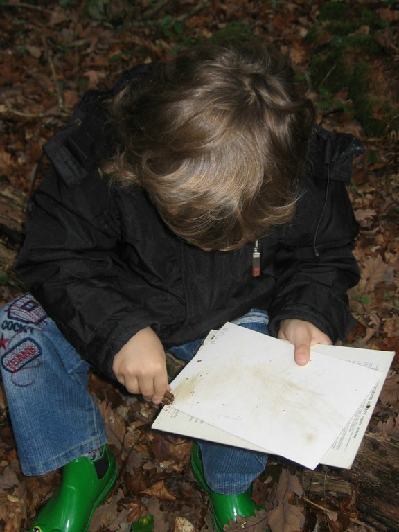 PS-MS-Foret Vouille (10).JPG