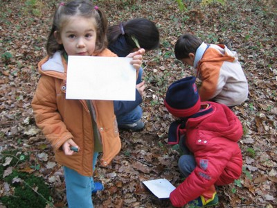 PS-MS-Foret Vouille (13).JPG