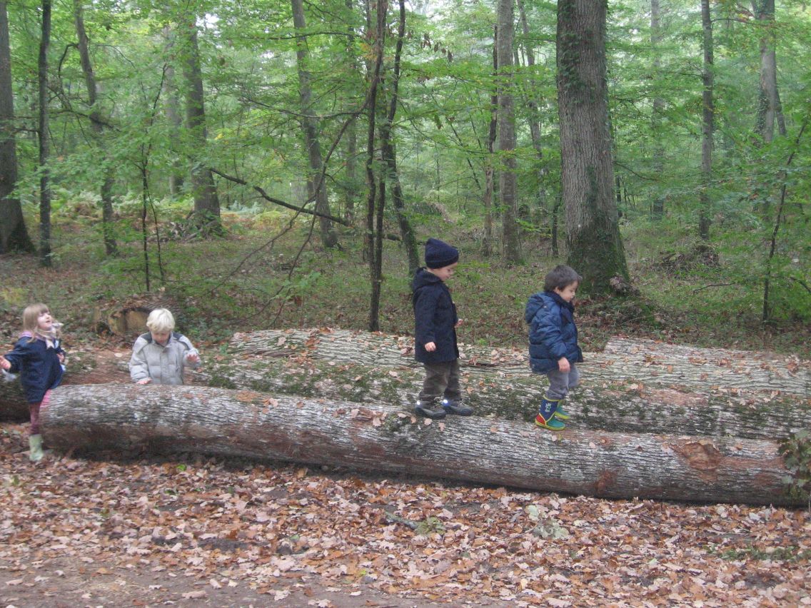 PS-MS-Foret Vouille (15).JPG