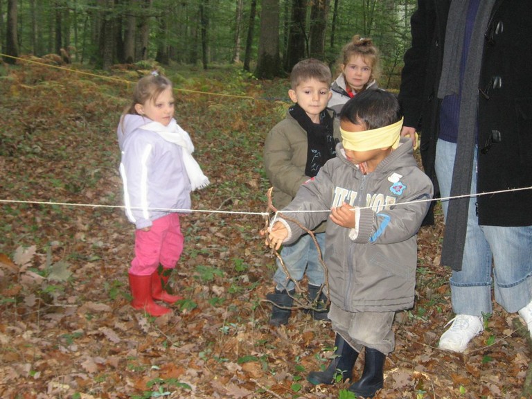 PS-MS-Foret Vouille (22).JPG