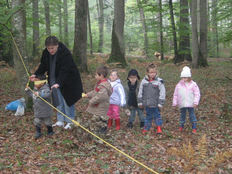 PS-MS-Foret Vouille (24).JPG