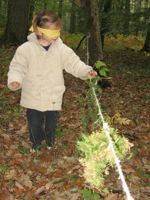 PS-MS-Foret Vouille (26).JPG