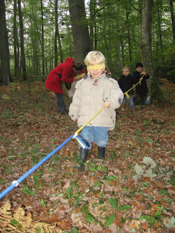 PS-MS-Foret Vouille (27).JPG