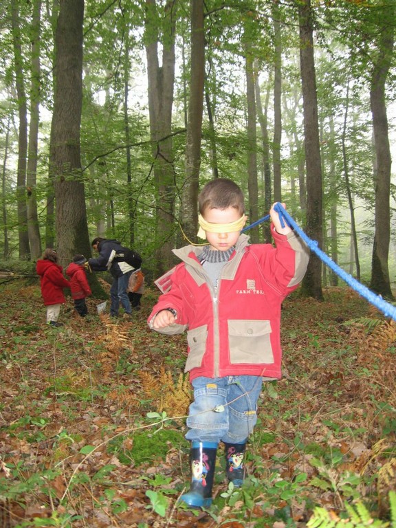 PS-MS-Foret Vouille (28).JPG