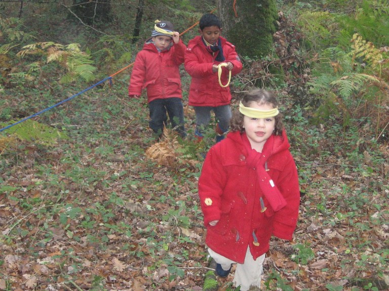 PS-MS-Foret Vouille (29).JPG