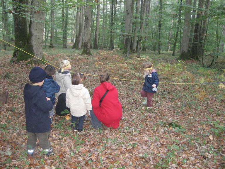 PS-MS-Foret Vouille (30).JPG