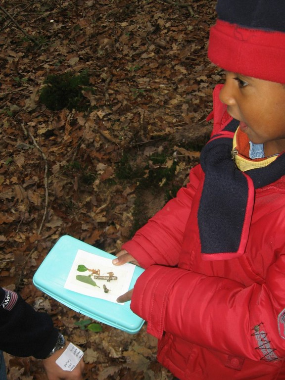 PS-MS-Foret Vouille (31).JPG