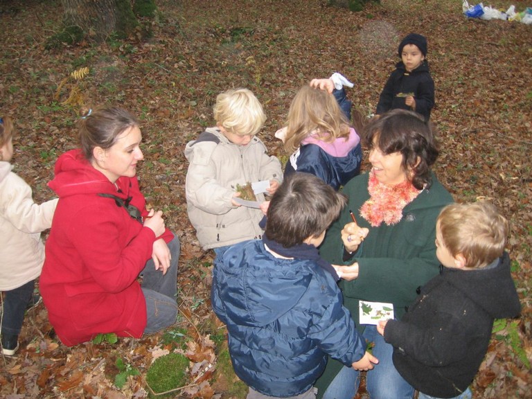 PS-MS-Foret Vouille (32).JPG