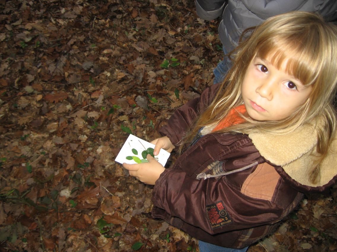 PS-MS-Foret Vouille (34).JPG