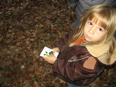 PS-MS-Foret Vouille (34).JPG